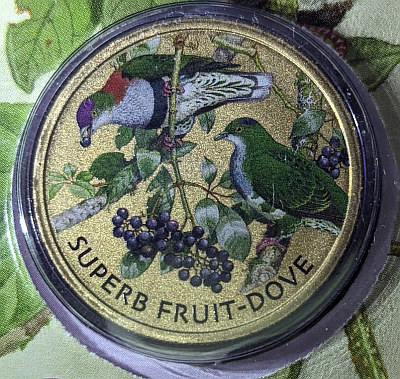 Superb Fruit Dove PNC