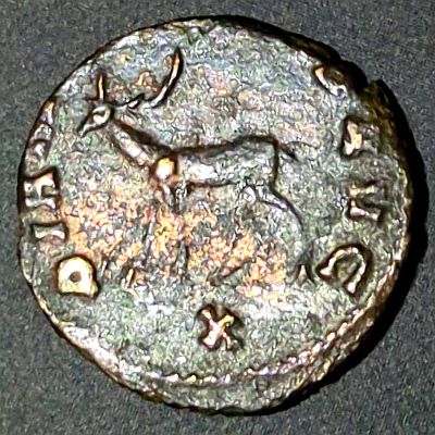 Gallienus Stag, Rome 267